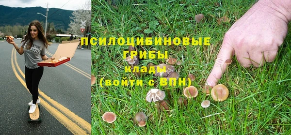 гидра Алзамай