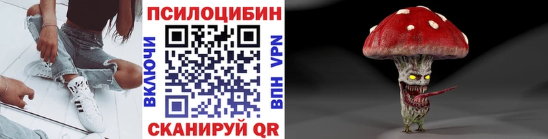 Псилоцибиновые грибы мицелий  ОМГ ОМГ ССЫЛКА  Тамбов 